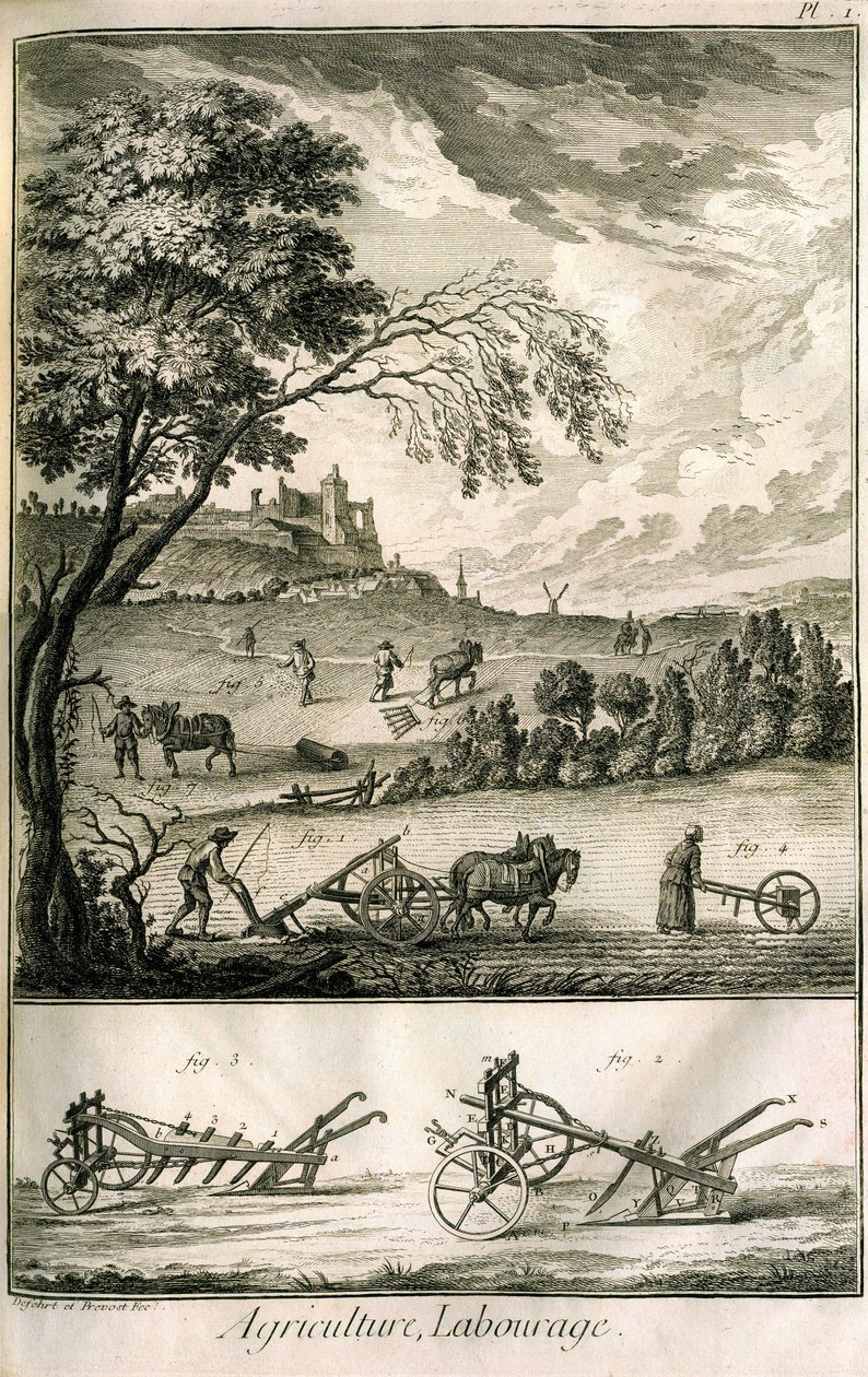 Field Work - Agriculture, Sowing, Ploughing. Various Model Rolls and Ploughs: Plate of a Volume of Illustrations from the Encyclopedie of Diderot, Original Edition 1762 by Denis Diderot