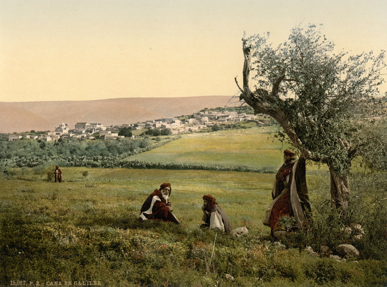 General View, Cana of Galilee, Holy Land, c.1890-1900 by Detroit Publishing Co.