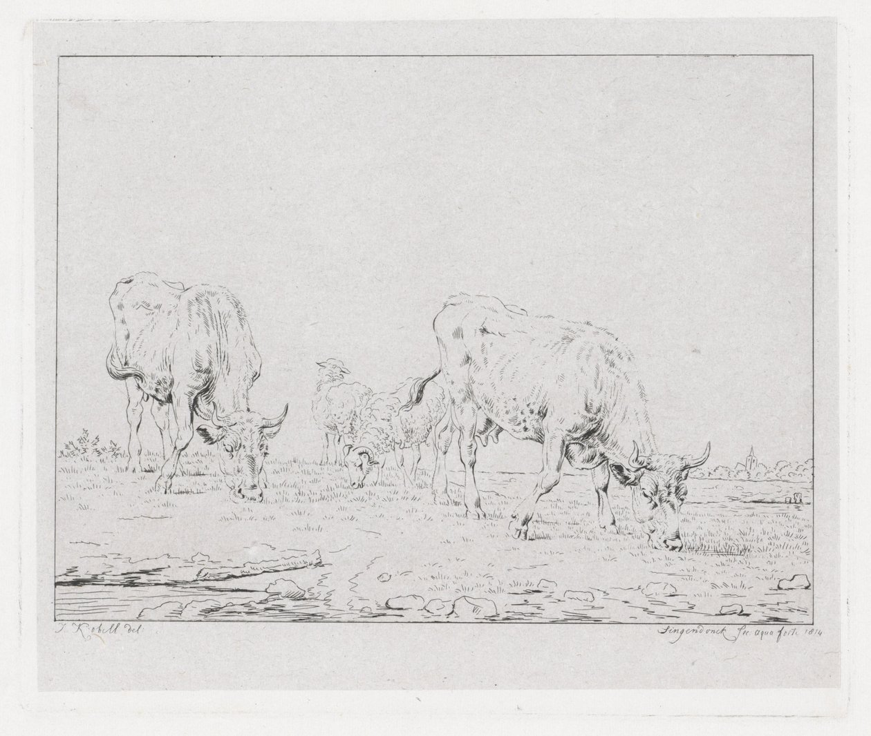 Grazing Cows by Diederik Jan Singendonck