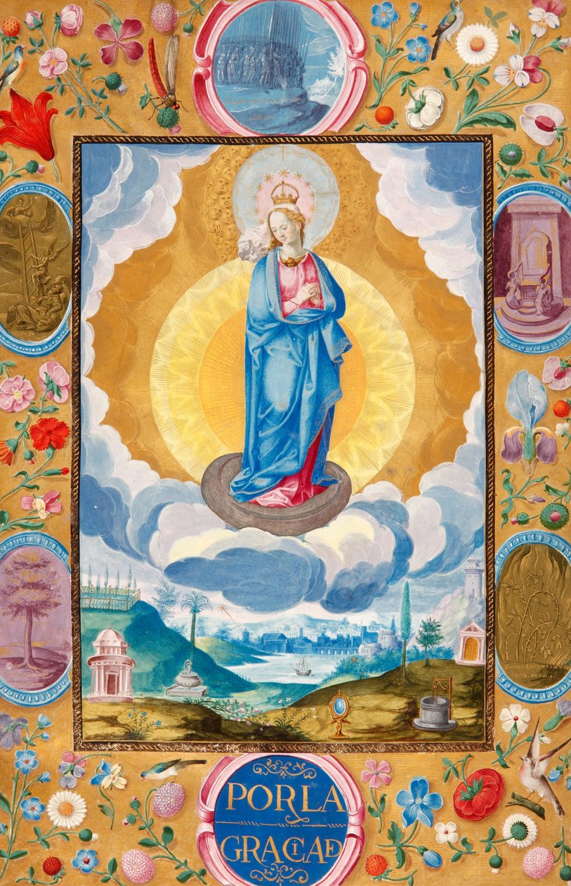Immaculate Conception in Enforceable Charter of Chivalry of Arias Pardo de Cela by Diego Gómez