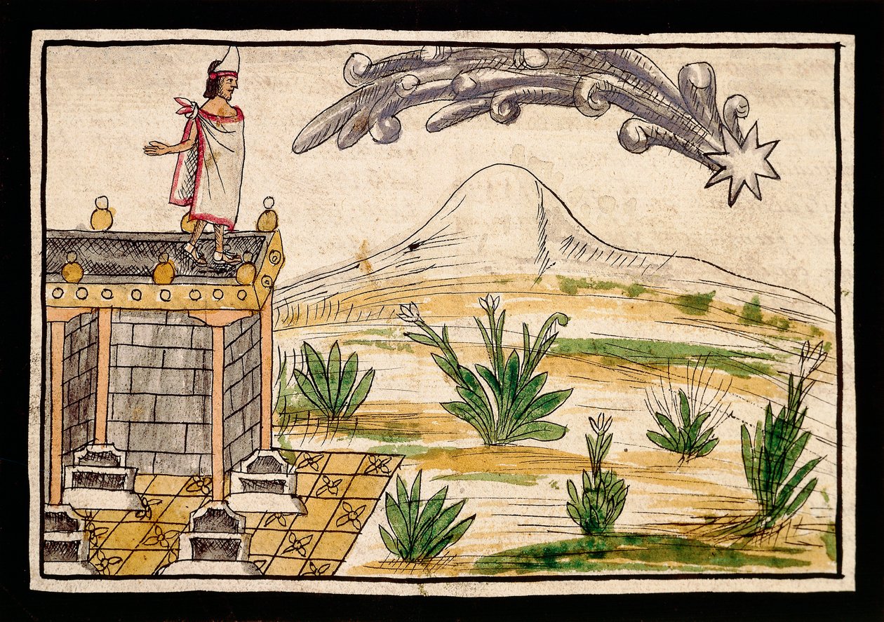 Montezuma Observing the Comet by Diego Duran