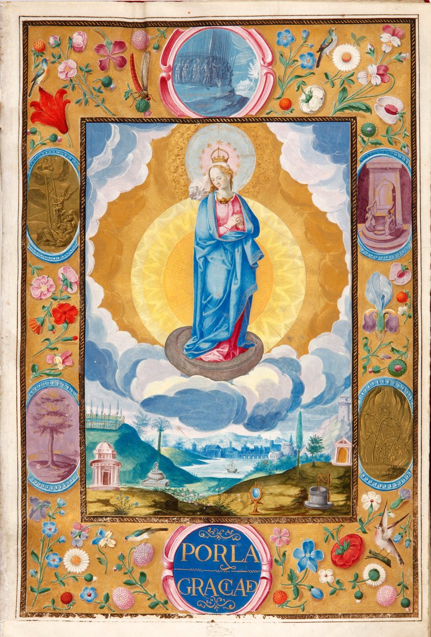 Immaculate Conception in Enforceable Charter of Chivalry of Arias Pardo de Cela by Diego Gómez