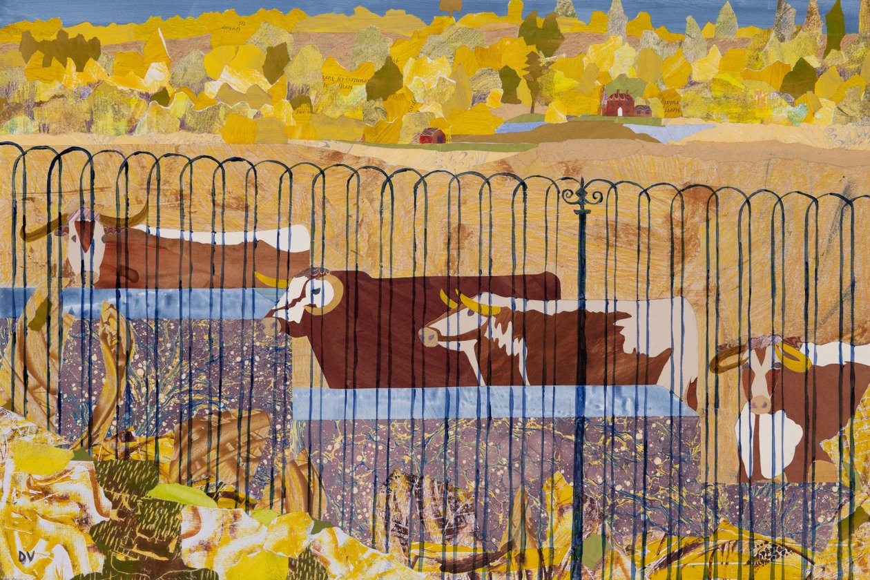 Thirsty longhorns, hot summer by Dione Verulam