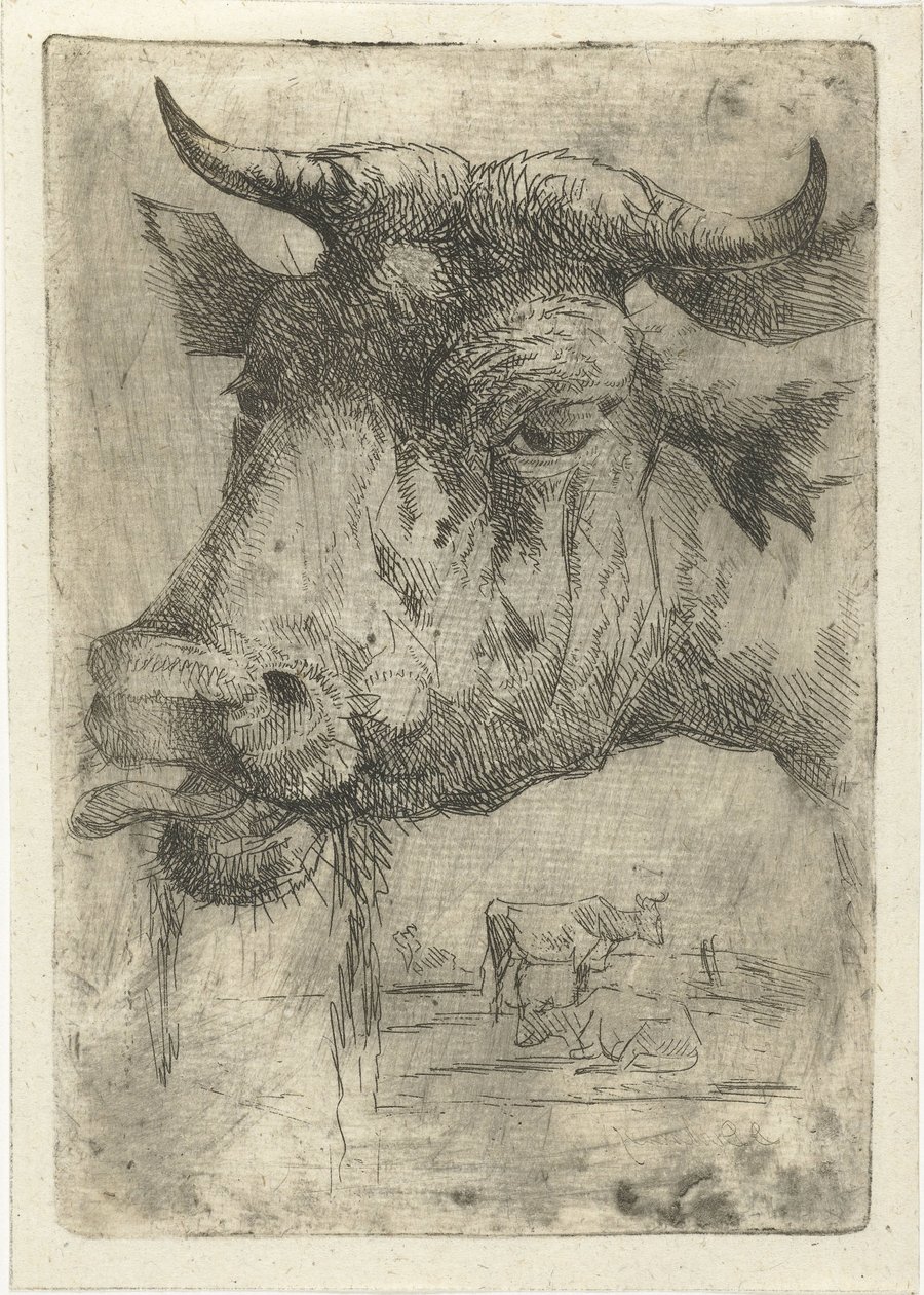 Head of a Cow with Tongue Out by Dirk Dirksen