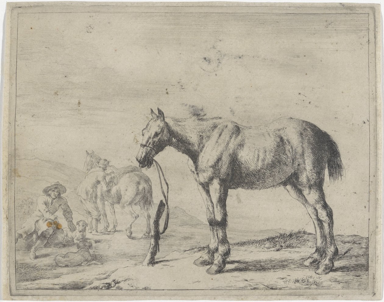 Horse tied to a post facing left by Dirk Stoop