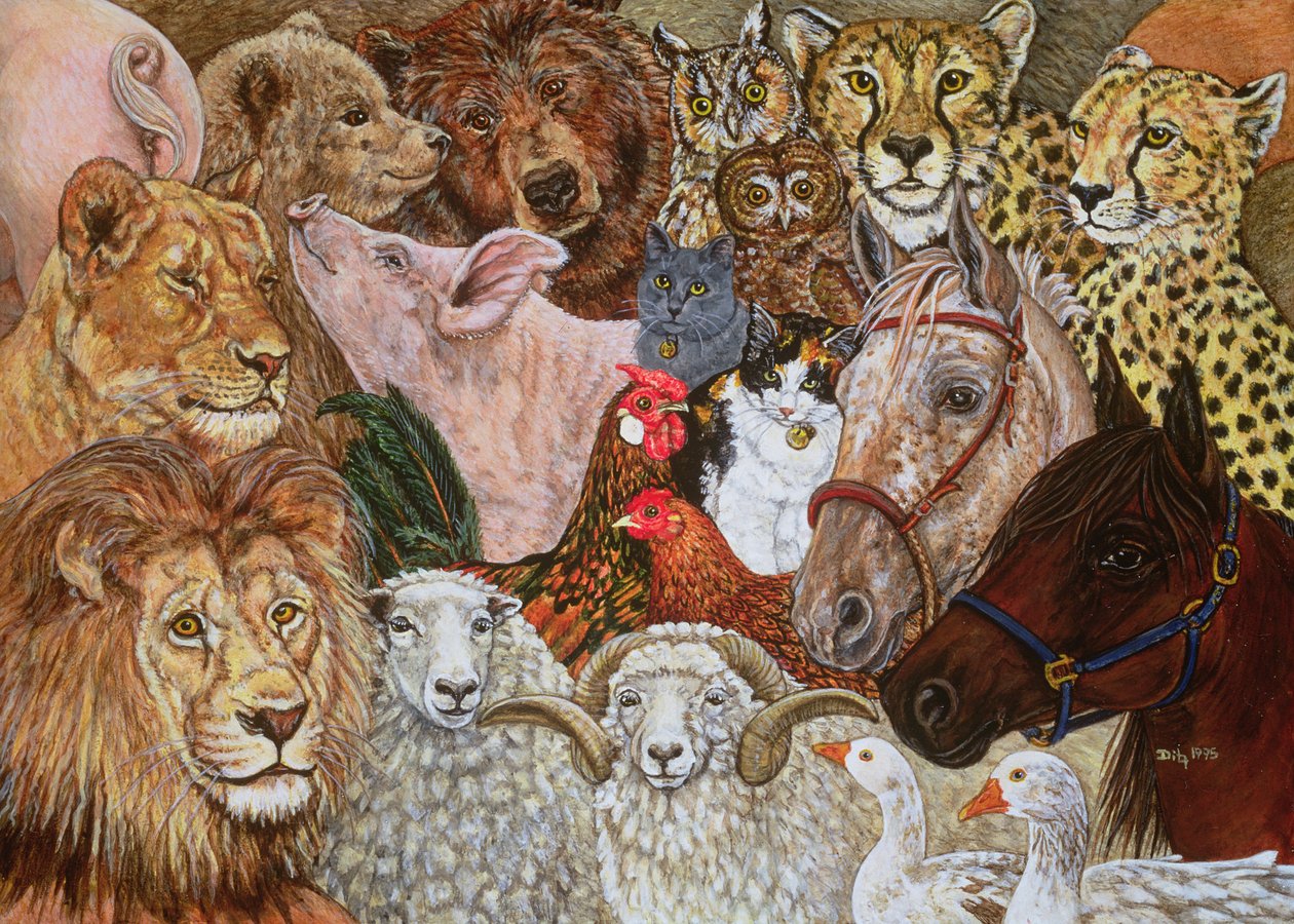 The Ark Spread by Ditz: Highest-quality art reproduction