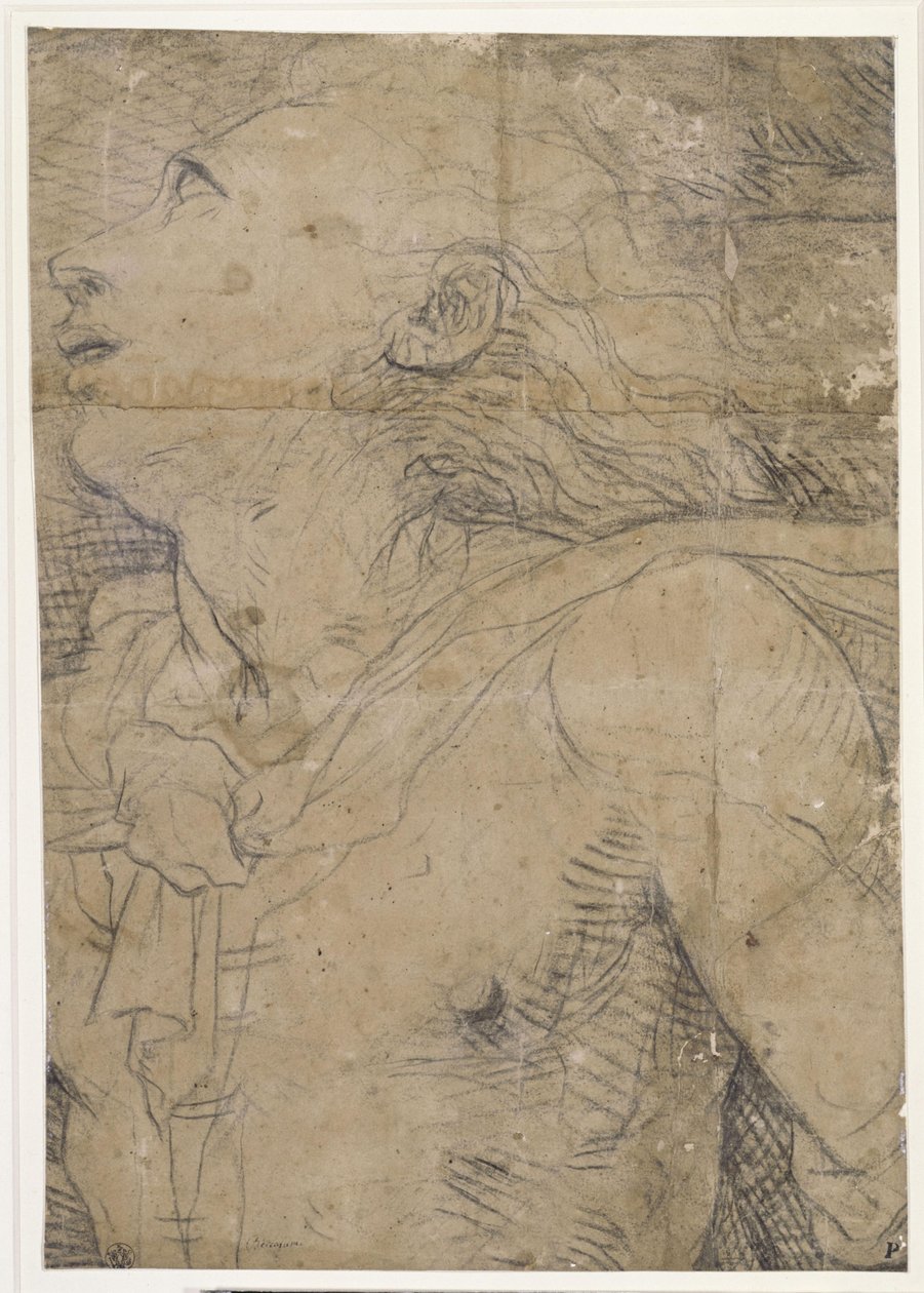 Upward Looking Youth, (Half Figure), Fragment of a Cartoon? by Domenico Beccafumi