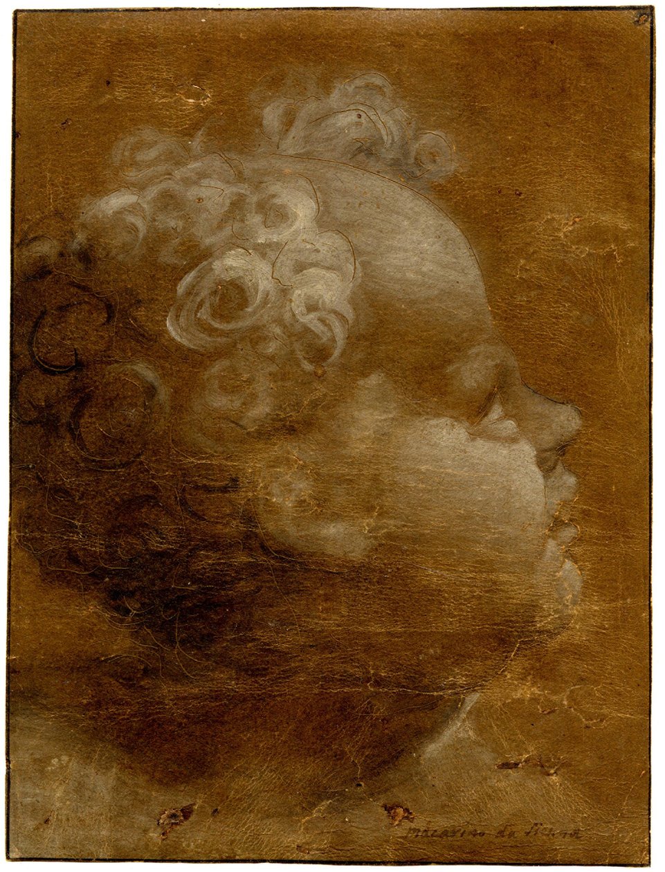 Head of a Child Looking Up, in Profile to Right by Domenico Beccafumi
