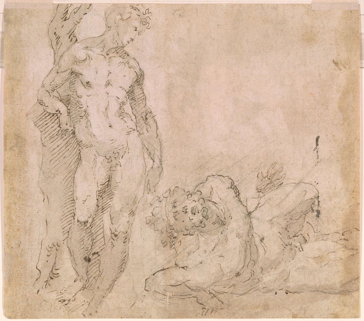 Verso Male Nude Leaning Against a Tree Trunk and a Reclining Male Nude with Head Thrown Back, ca. 1530-1540 by Domenico Beccafumi