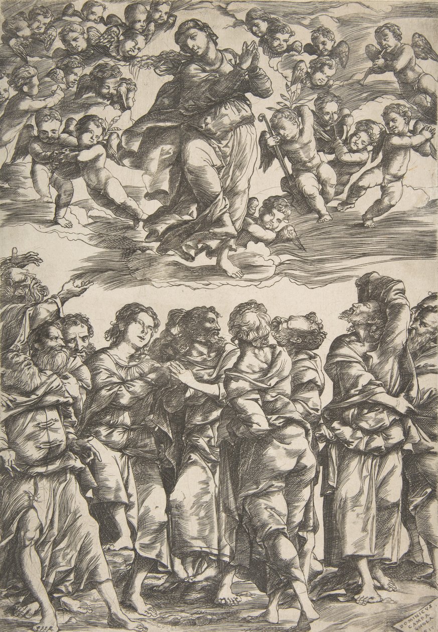 The Virgin at top center in clouds with clasped hands and right foot raised, surrounded by angels by Domenico Campagnola