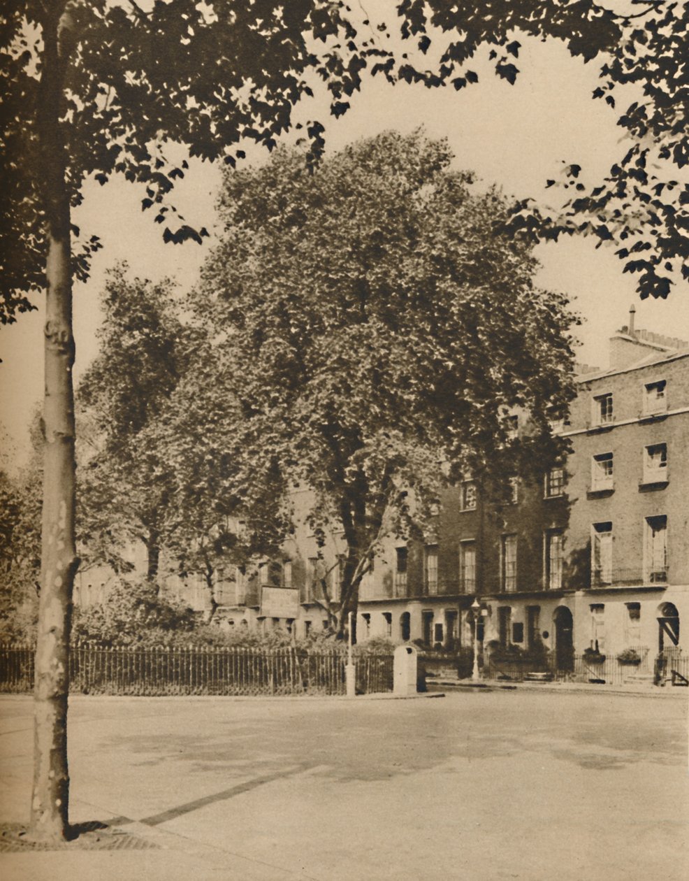 In Boarding-House Land: The Plane Trees of Torrington Square, c1935 by Donald McLeish