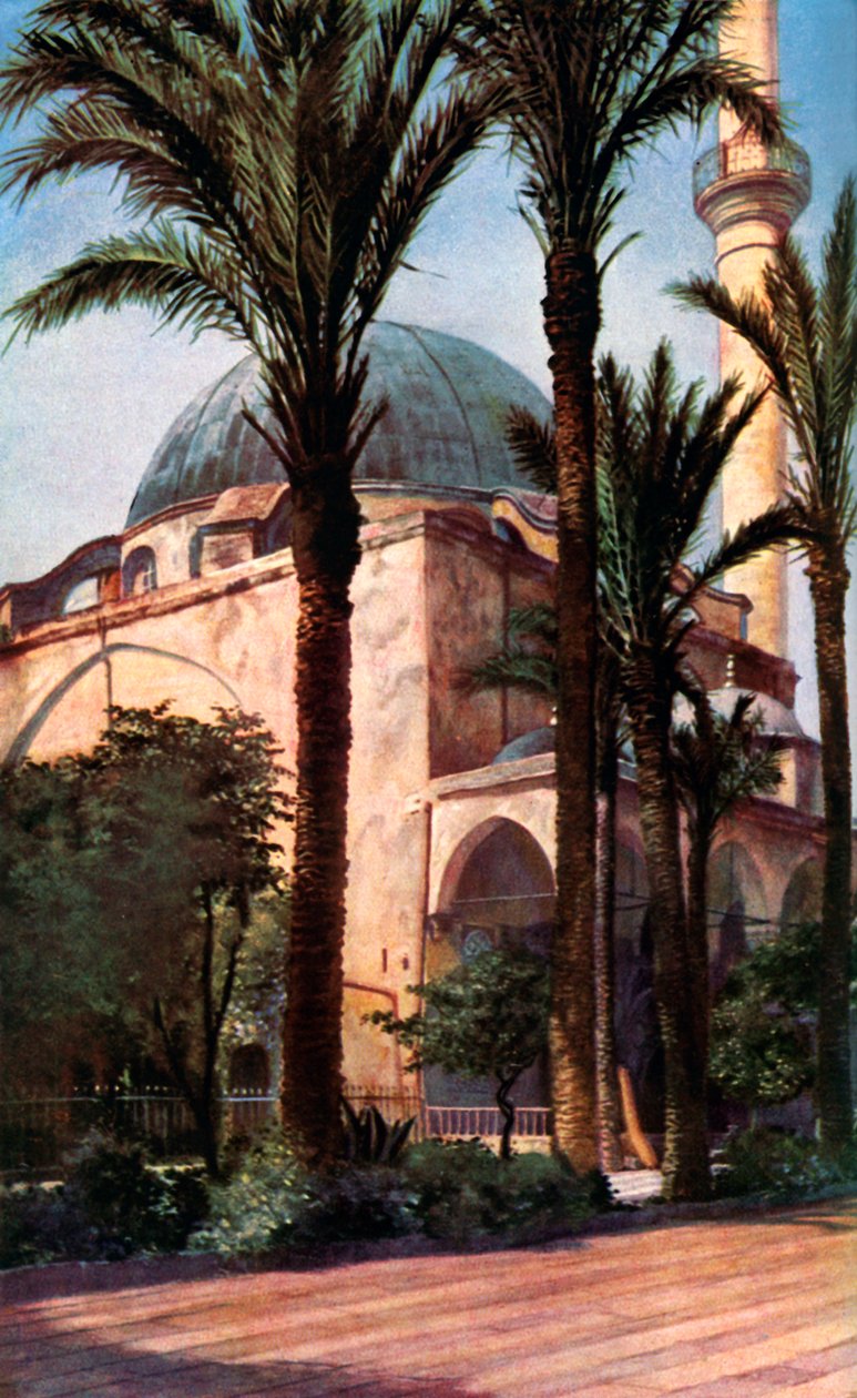 Jezzar Pasha mosque, Acre, Palestine by Donald McLeish
