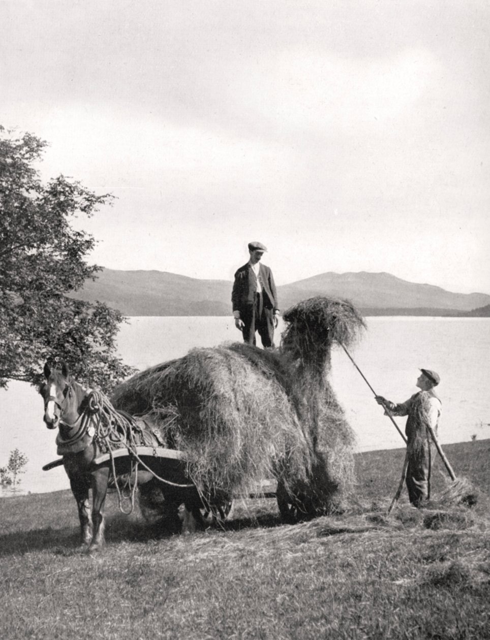 Loading hay onto a wagon on the shores of Loch Lomond, Scotland, 1924-1926 by Donald McLeish