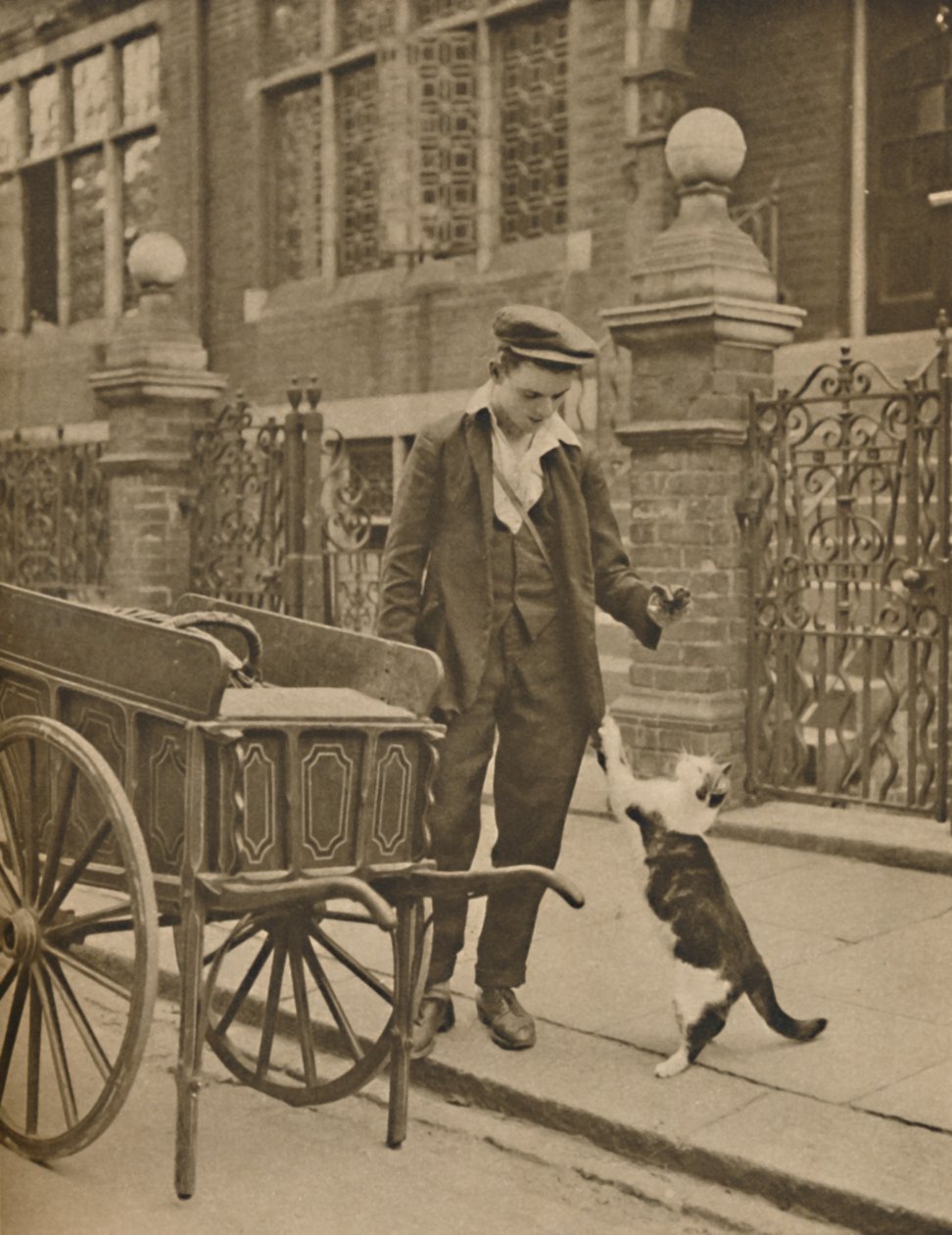 One of the Best-Established Trades: A Customer and the Cats-Meat Man by Donald McLeish