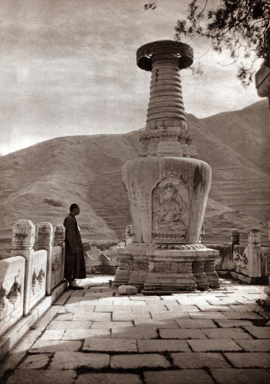 Marble Sentinel, Beijing by Donald Mennie
