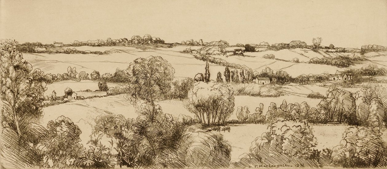 Untitled by Donald Shaw MacLaughlan