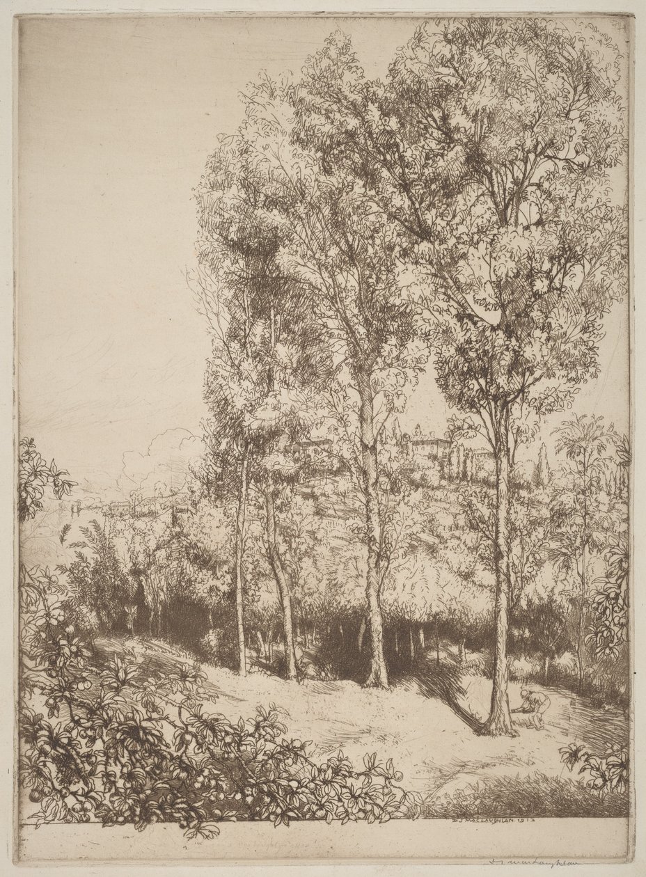 Sunlight and Shadows, No. 3 by Donald Shaw MacLaughlan