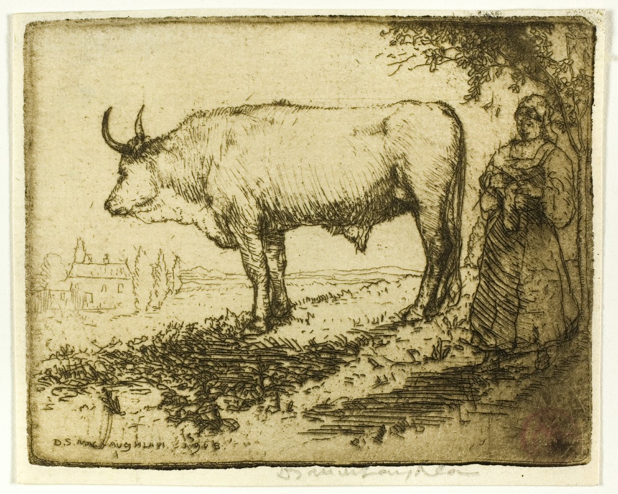 The White Ox by Donald Shaw MacLaughlan