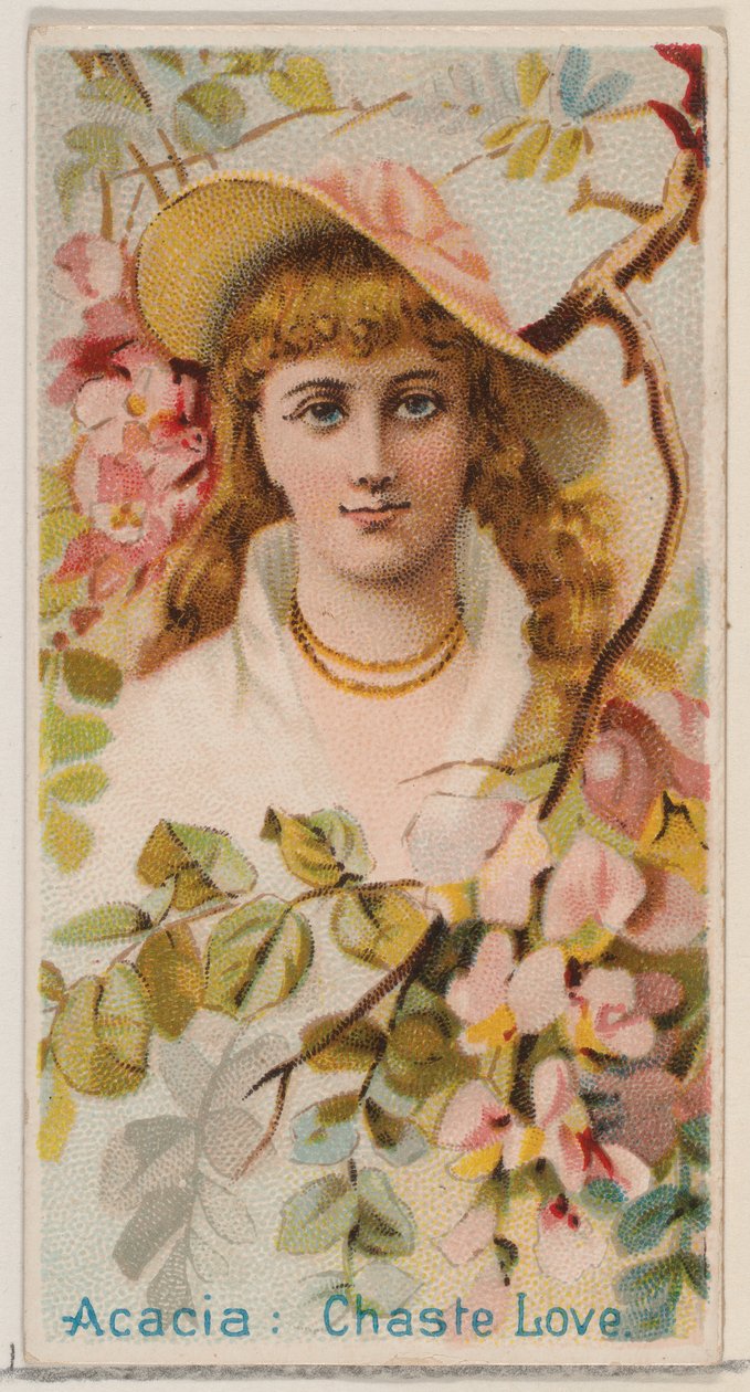 Acacia: Chaste Love, from the series Floral Beauties and Language of Flowers N75 for Duk..., 1892 by Donaldson Brothers
