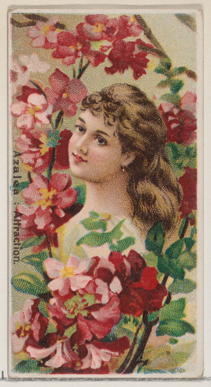 Azalea: Attraction, from the series Floral Beauties and Language of Flowers N75 for Duke, 1892 by Donaldson Brothers