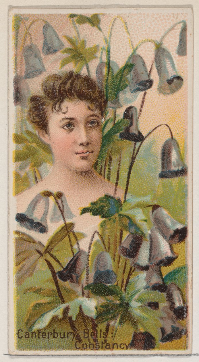 Canterbury Bells: Constancy, from the Series Floral Beauties and Language of Flowers, 1892 by Donaldson Brothers
