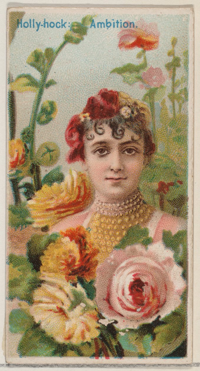 Hollyhock: Ambition, from the series Floral Beauties and Language of Flowers N75 for Duk, 1892 by Donaldson Brothers