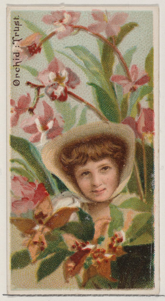 Orchid: Trust, from the series Floral Beauties and Language of Flowers N75 for Duke brand by Donaldson Brothers