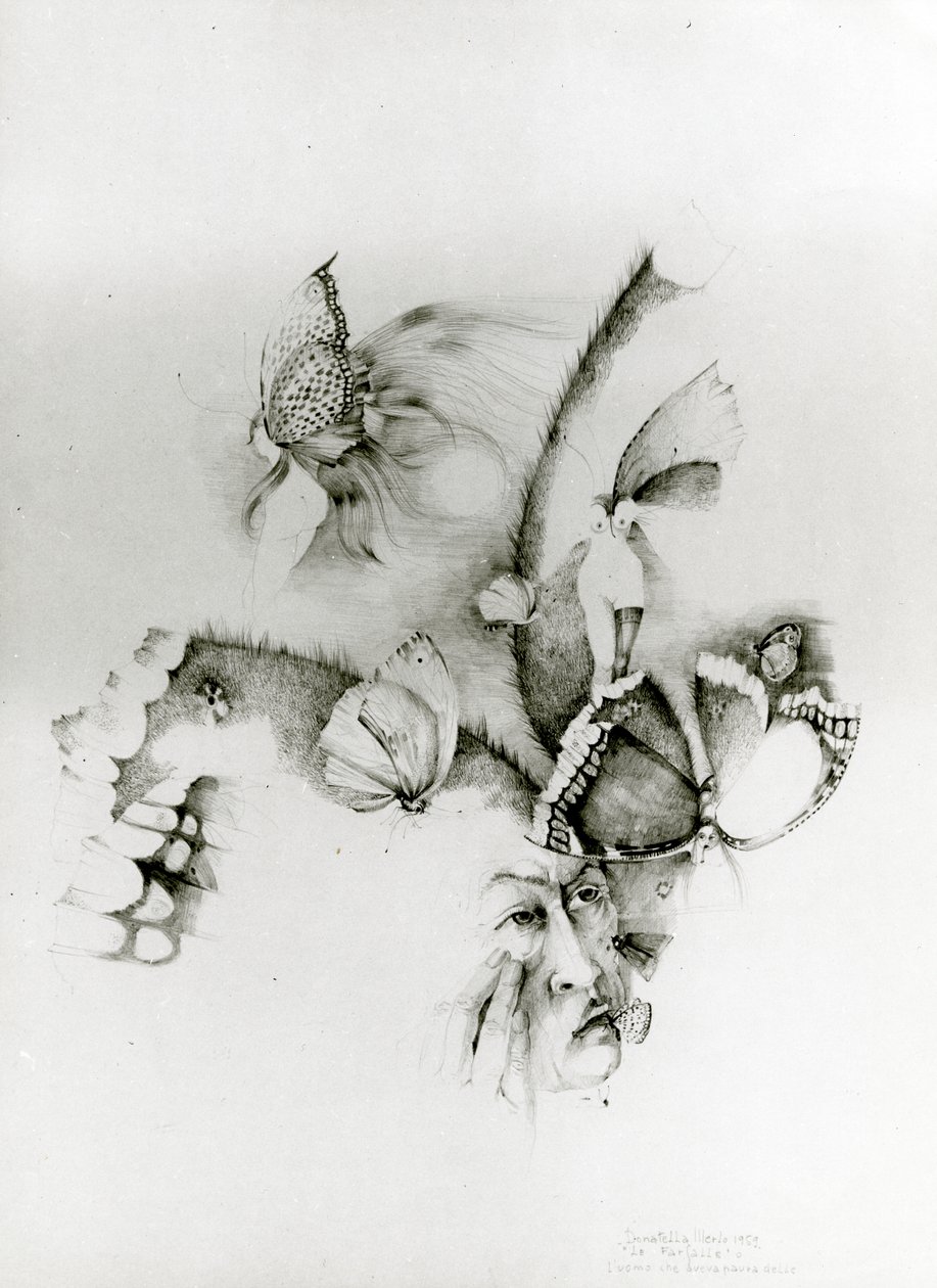 Butterflies or The Man Who Was Afraid of Butterflies by Donatella Merlo