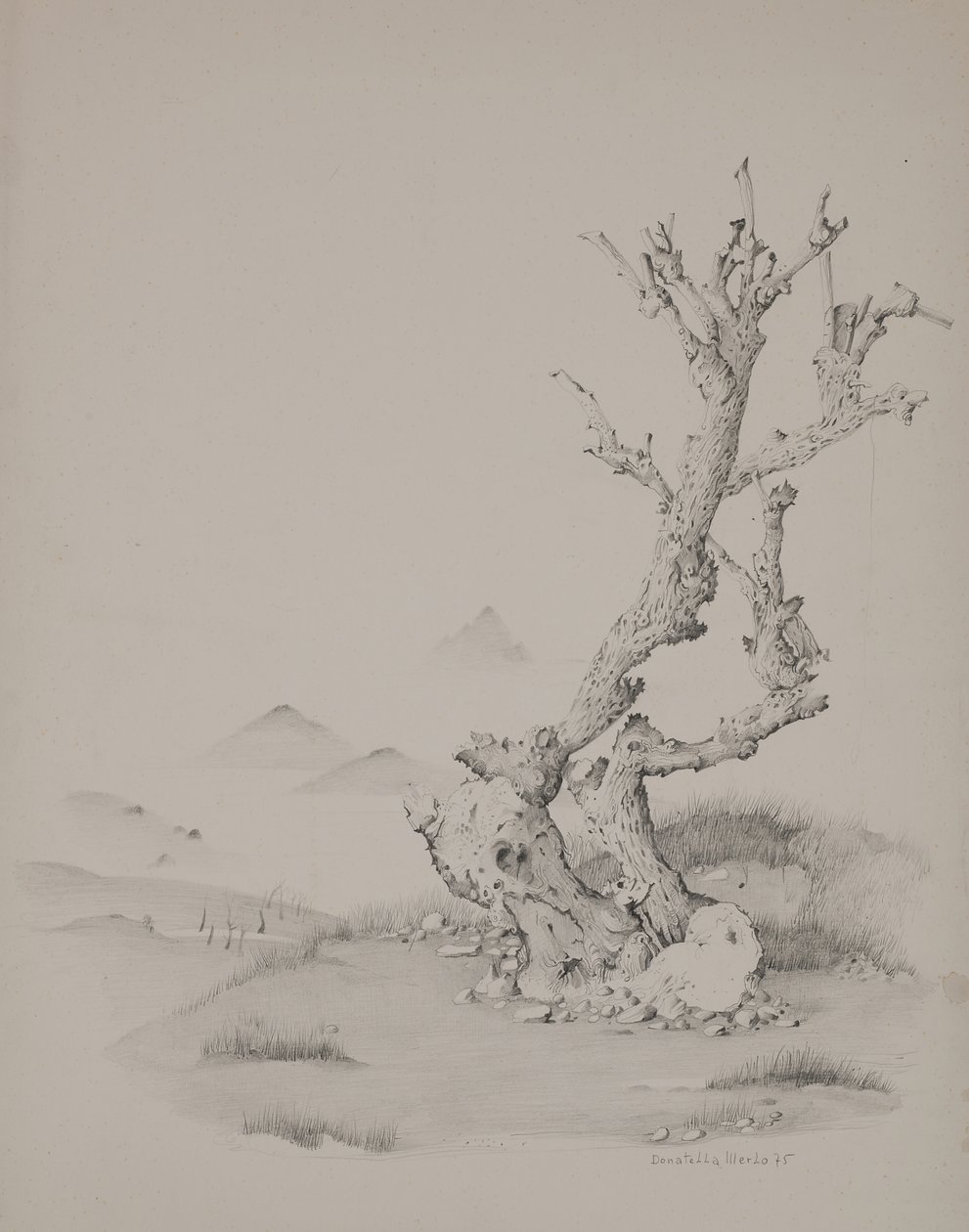 The Trunk by Donatella Merlo