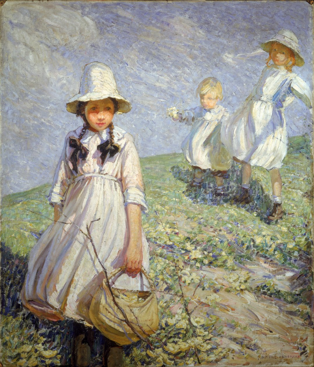 The Primrose Way by Dorothea Sharp