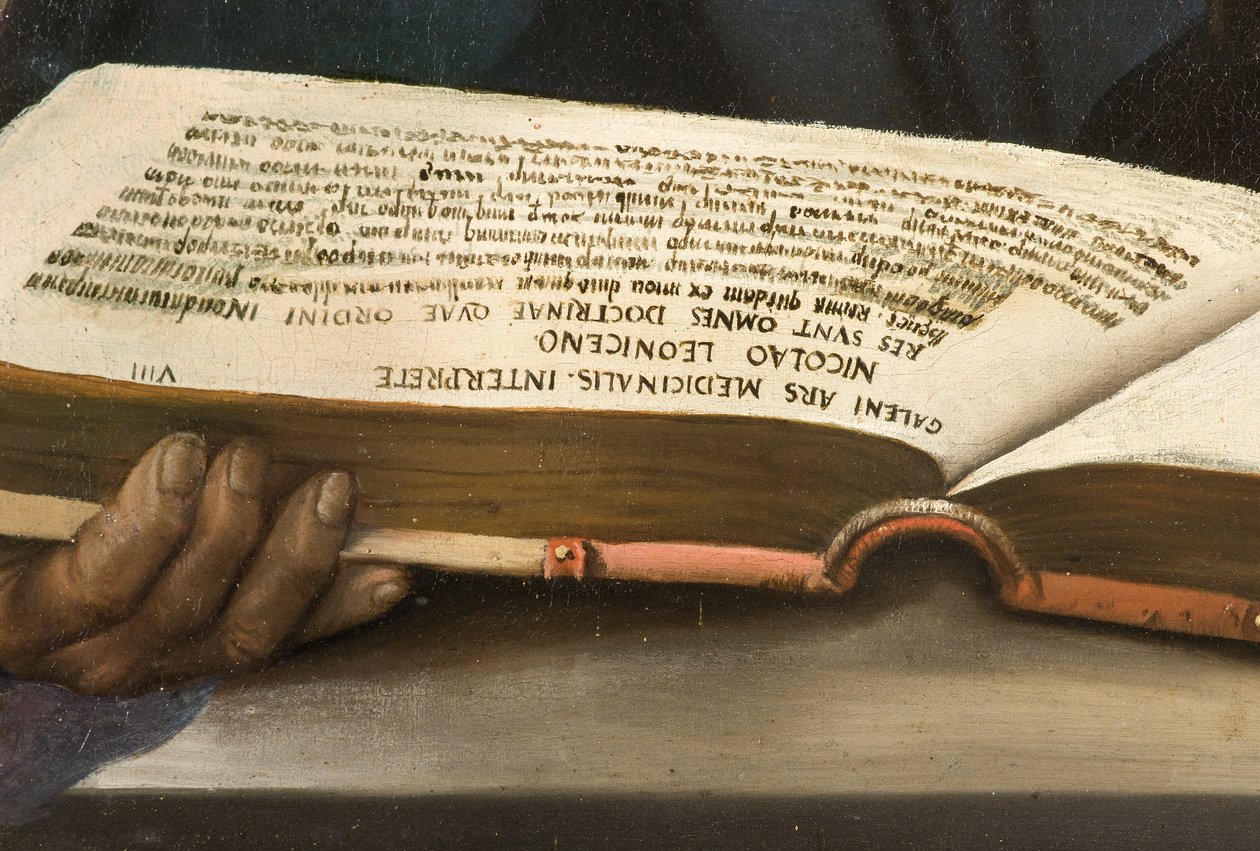 Niccolò Leoniceno by Dosso Dossi