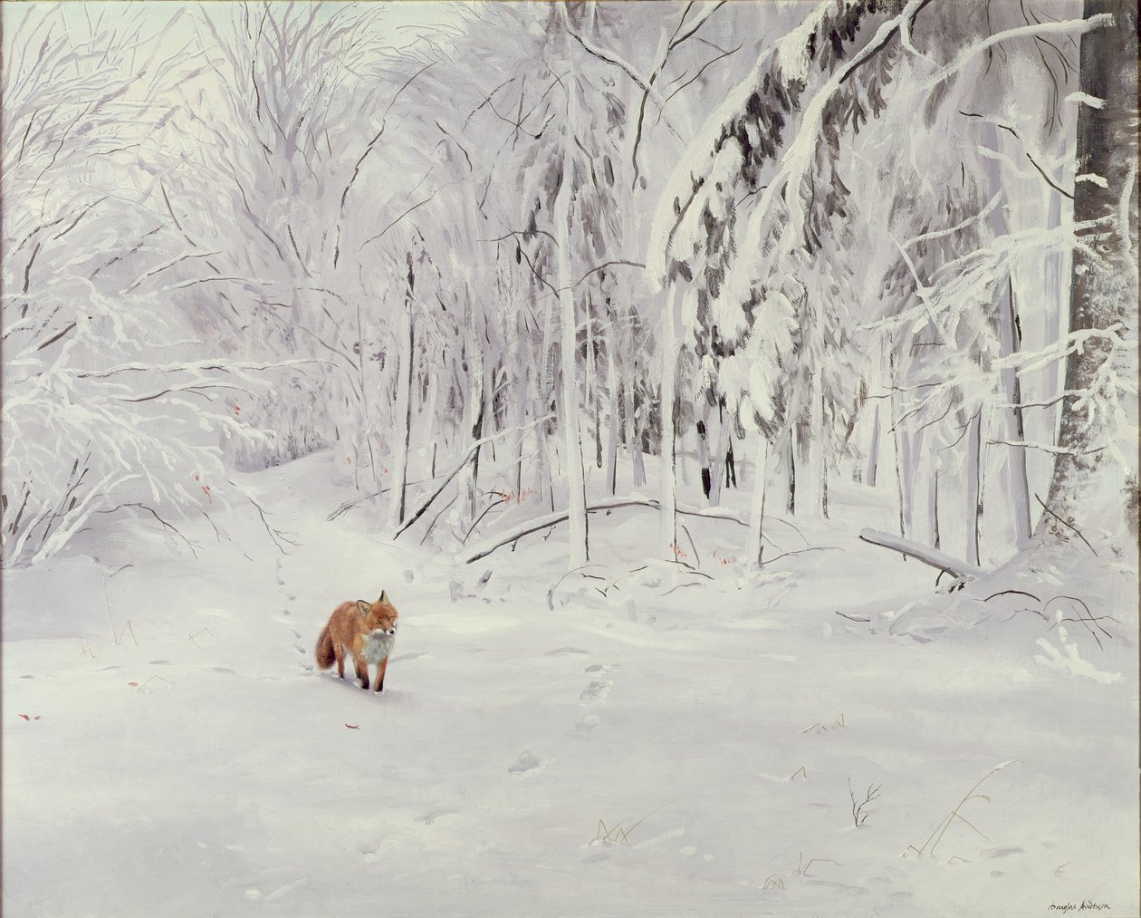 Fox in Deep Snow by Douglas Anderson