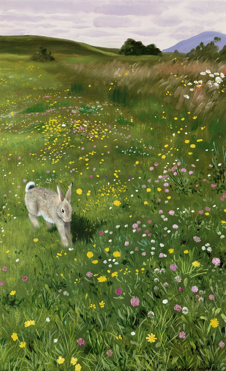 Hare in Spring Flowers by Douglas Anderson
