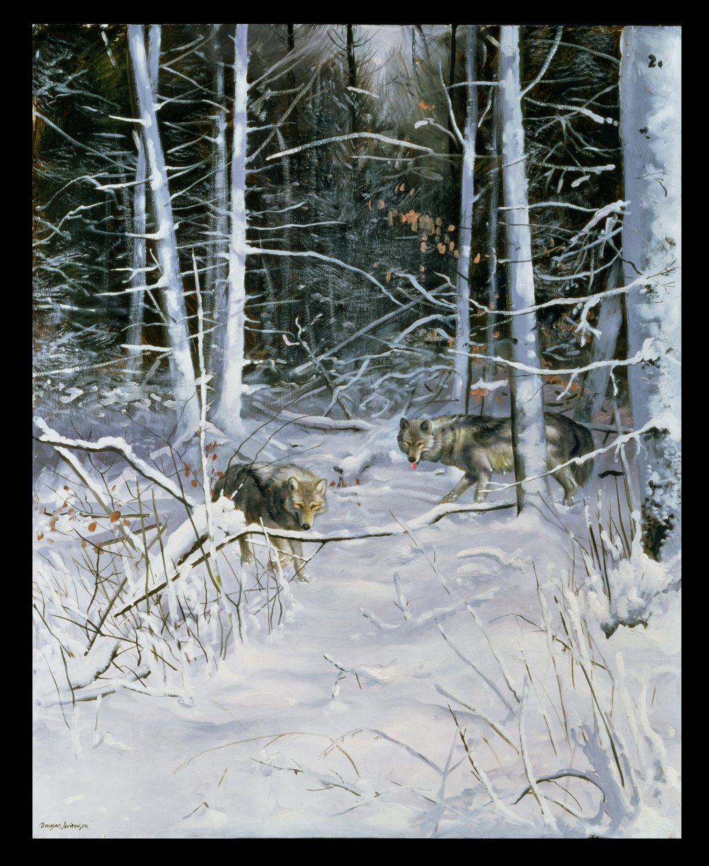 Wolves in a Snowy Forest by Douglas Anderson