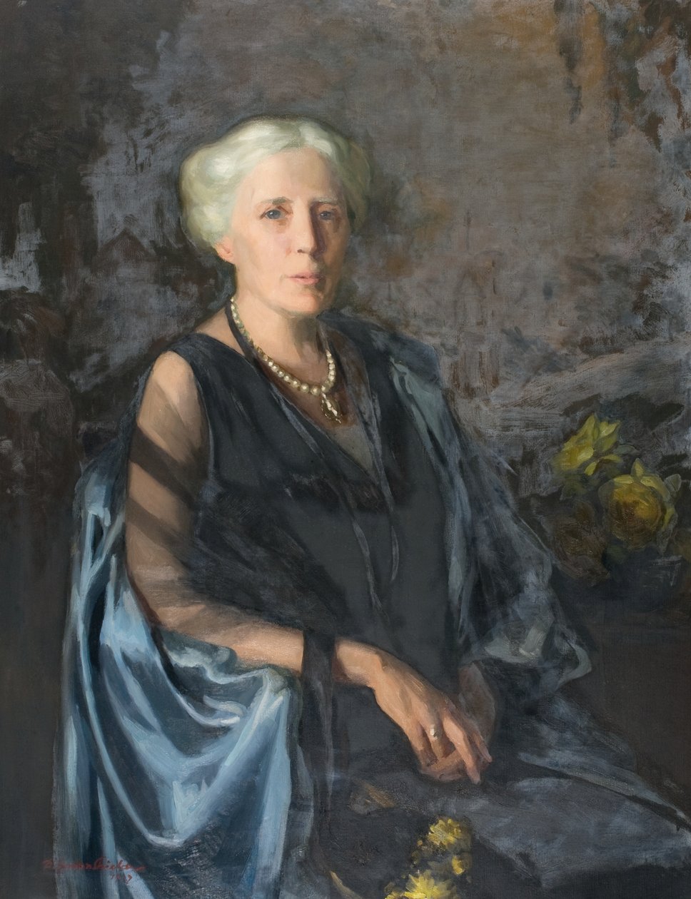 The Lady in the Blue Cloak by Douglas Gordon Shields