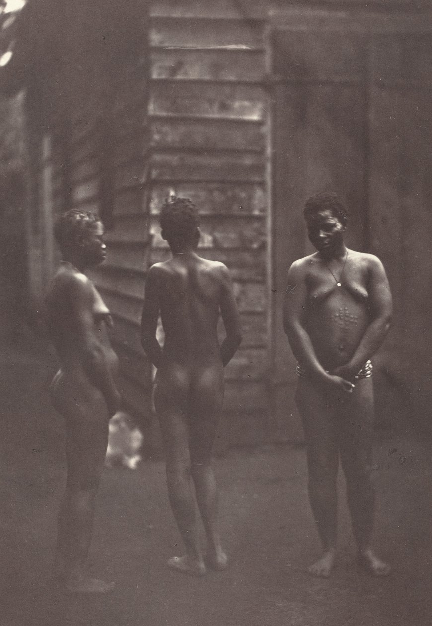 Three Malagasy Women Plate 30 by Désiré Charnay