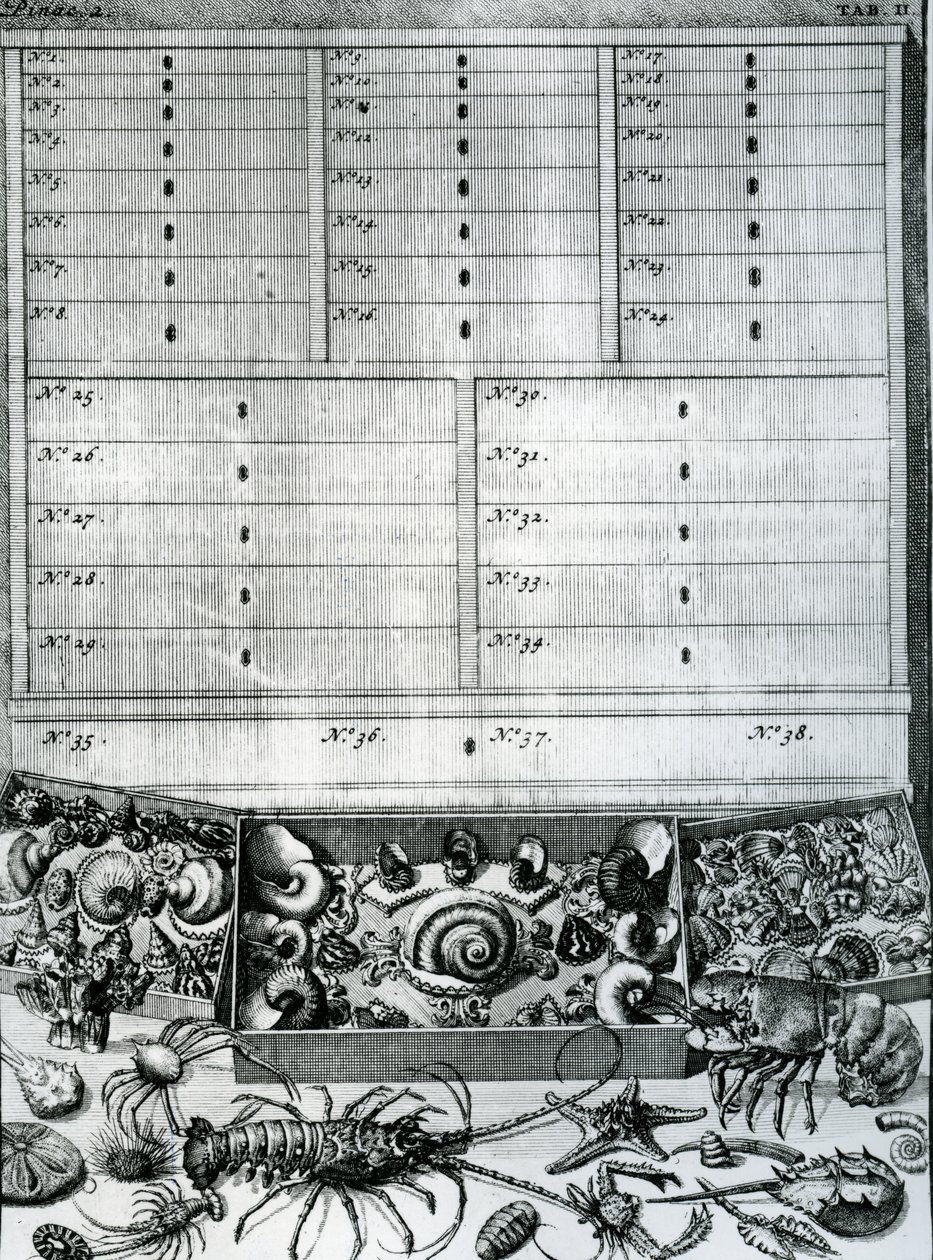 Table II from 