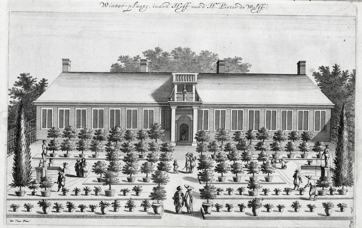 Dutch garden, from De Nederlandze Hesperides by Jan Commelin, published 1676 by Dutch School