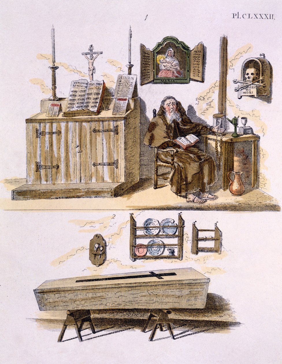 Illustration from Magazine of Garden Gems by G. van Laar, published 1802 by Dutch School