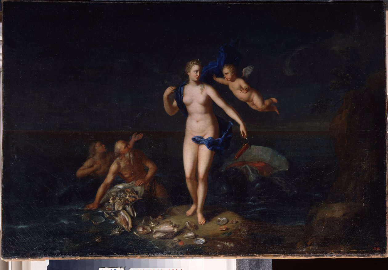 Birth of Venus by Dutch School