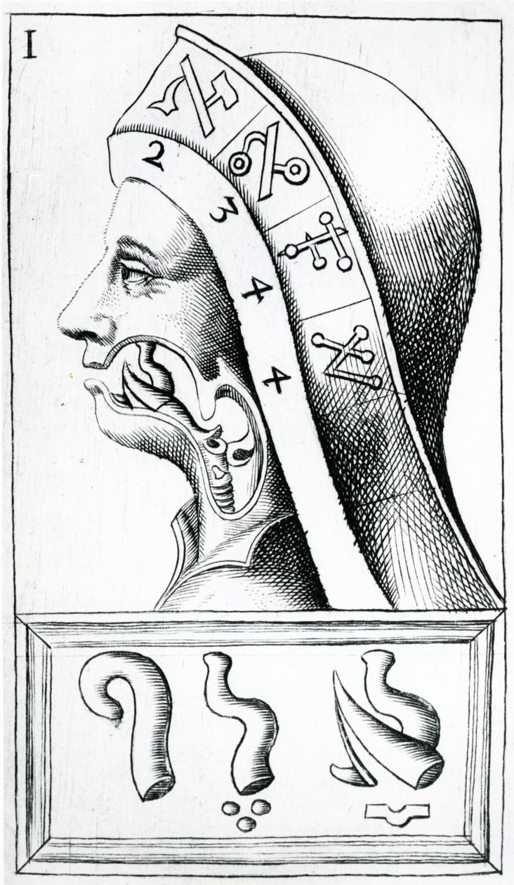 Throat movements used in the pronunciation of the Hebrew Alphabet, illustration from Alphabetum Natura (Alphabet of Nature) by F.M. van Helmont by Dutch School