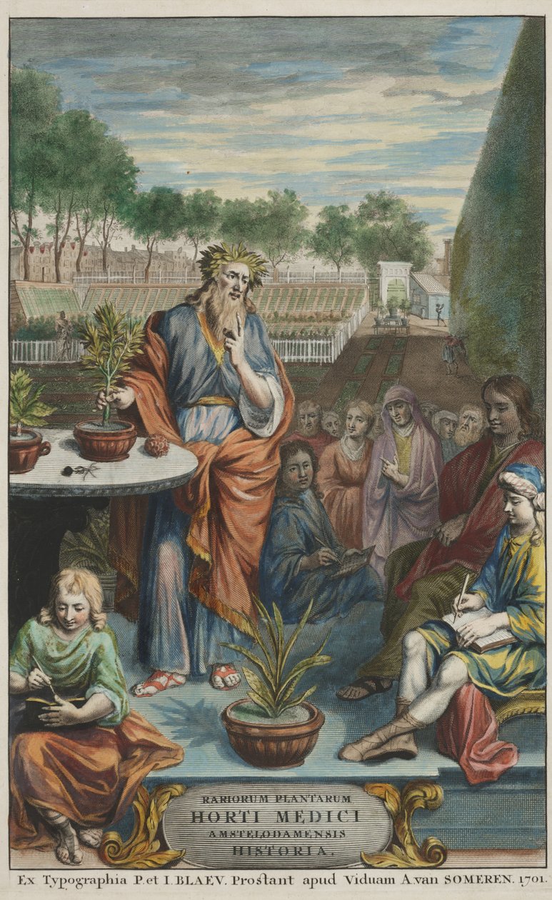 Title Page from "Horti Medici Amstelodamensis Rariorum Plantarum Historia" vol. II by Dutch School