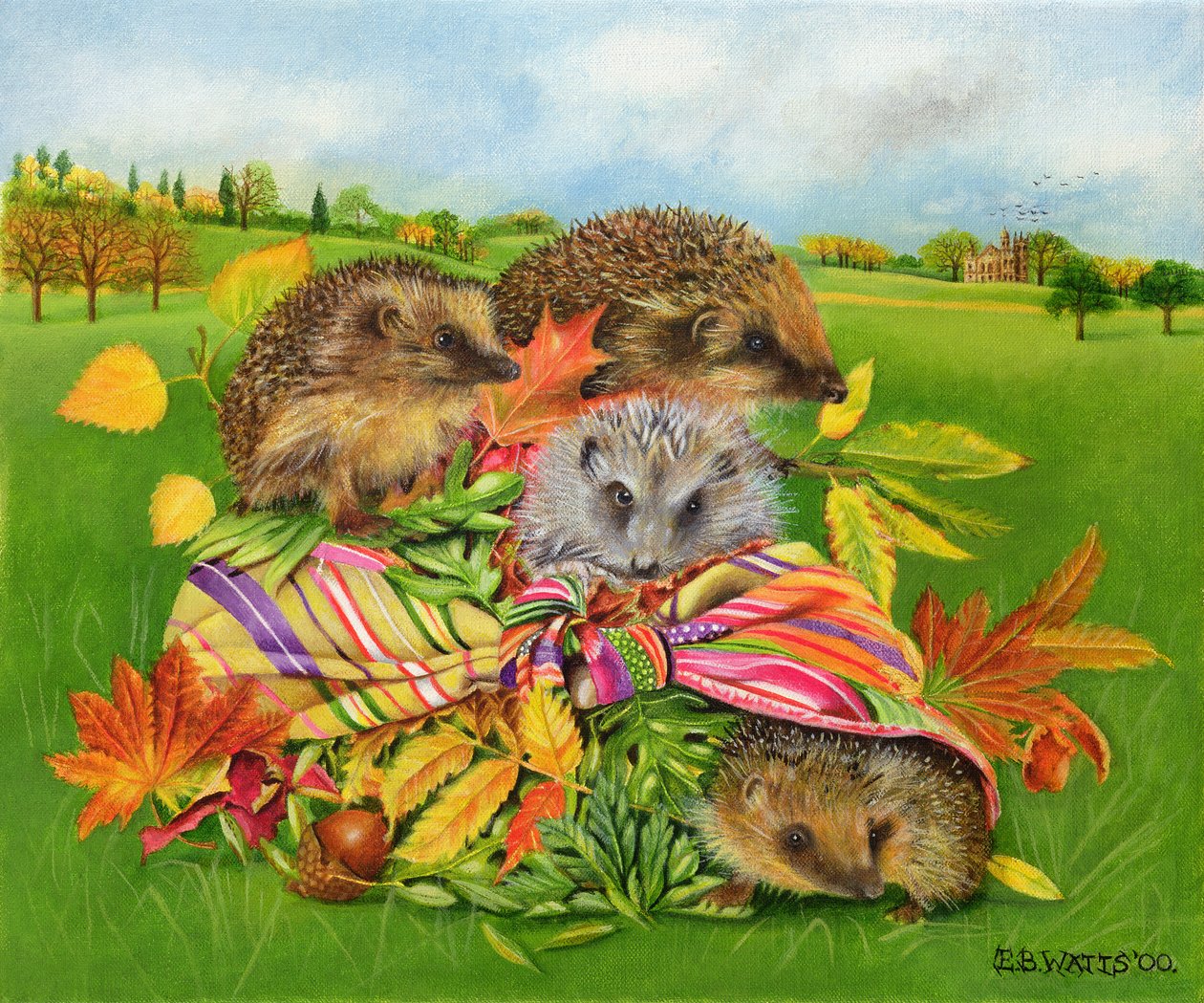 Hedgehogs Inside Scarf, 2000 by E.B. Watts