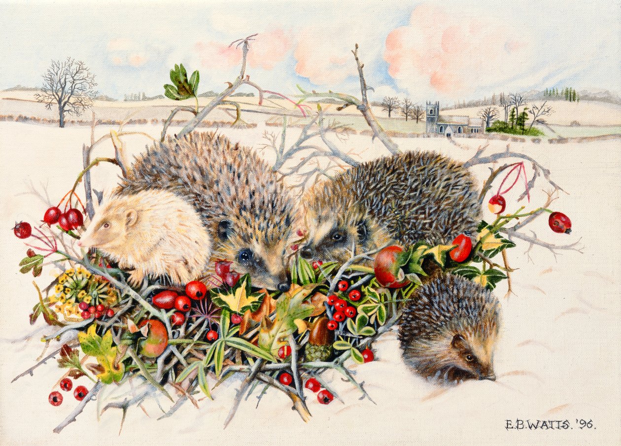 Hedgehogs in Hedgerow Basket, 1996 by E.B. Watts