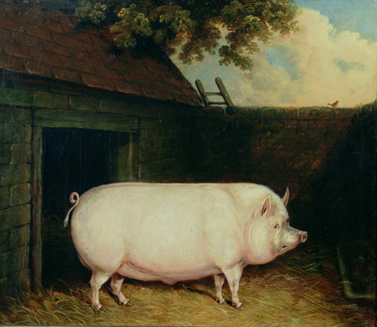 A Pig in its Sty by E.M. Fox