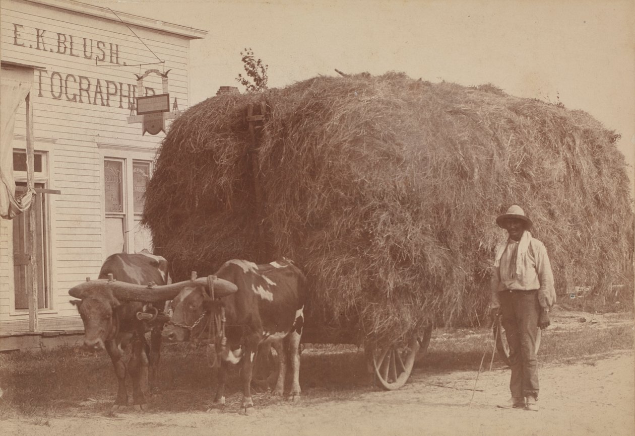 Albumen Print of a Man with a Full Hay Cart, 1894-1904 by E. K. Blush