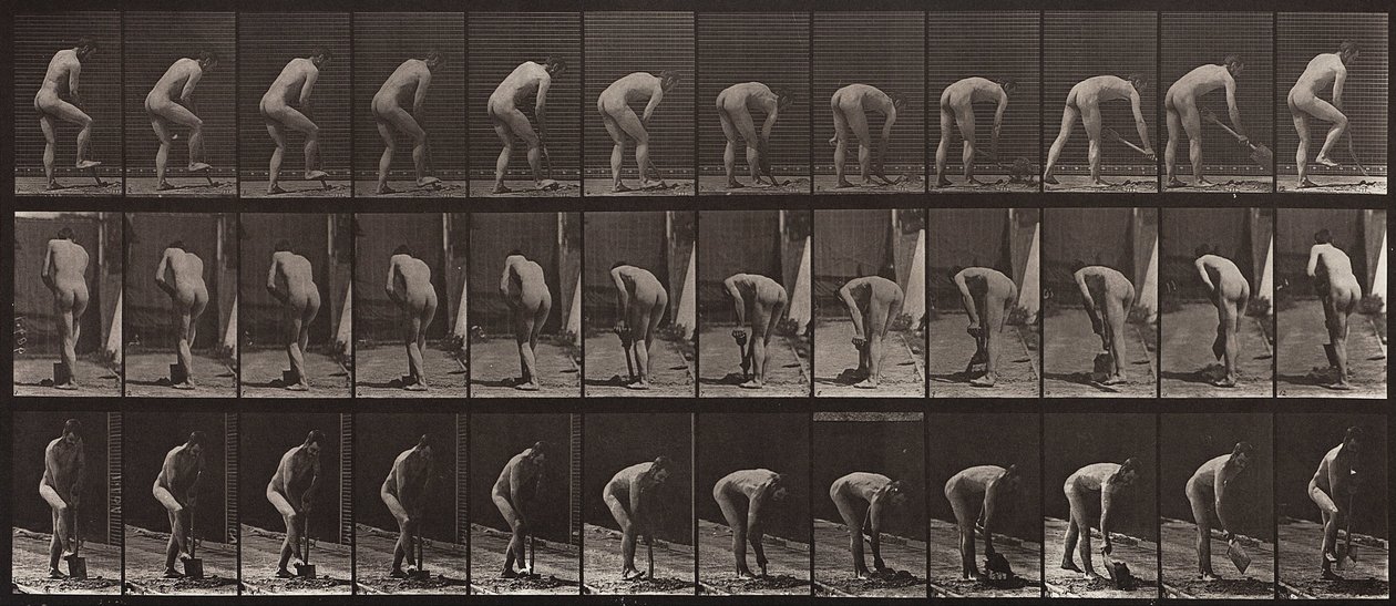 Animal Locomotion, Plate 388 by Eadweard Muybridge