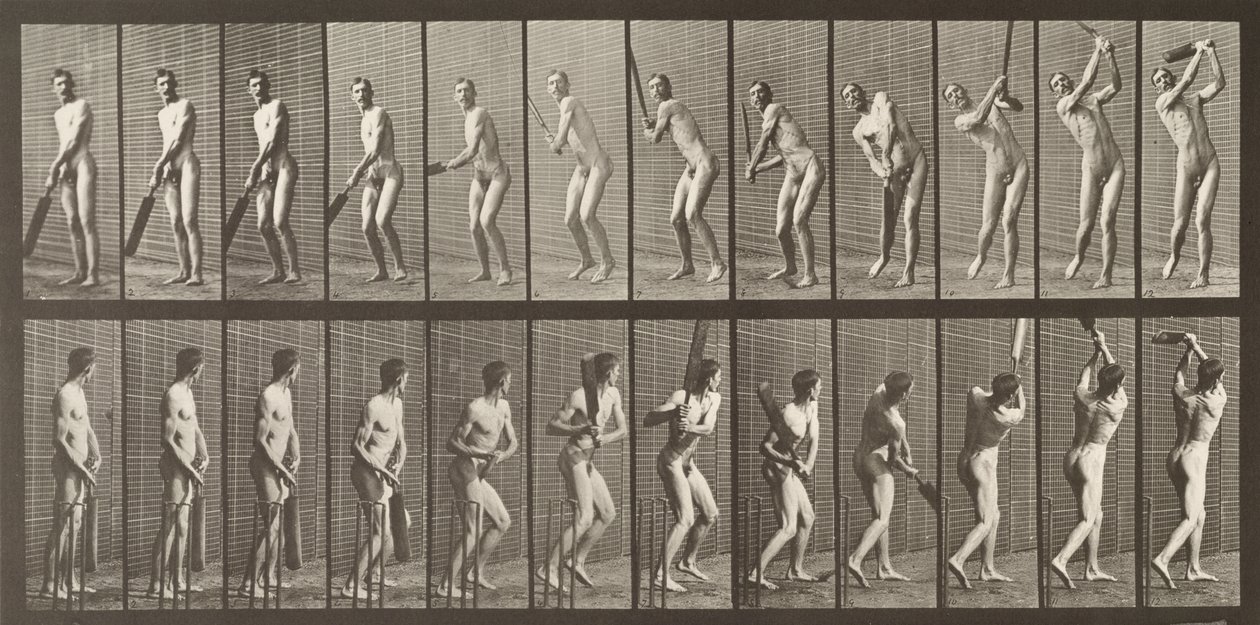 Cricketer, plate 291 from 