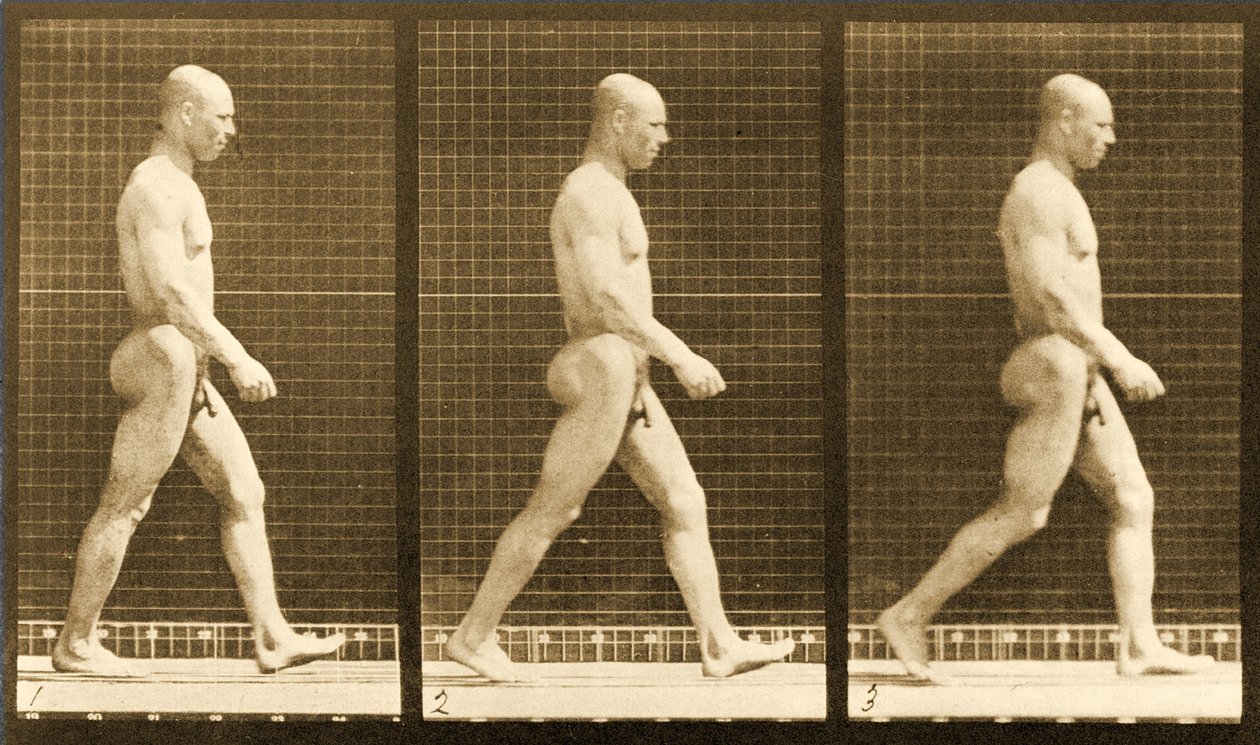 Image Sequence of a Nude Man Walking, 