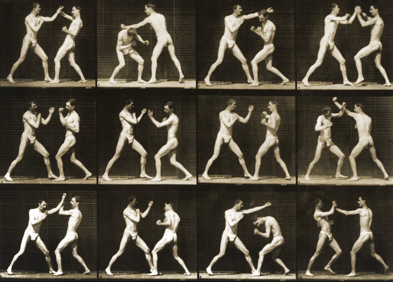Two Men Boxing, from the 'Animal Locomotion' Series